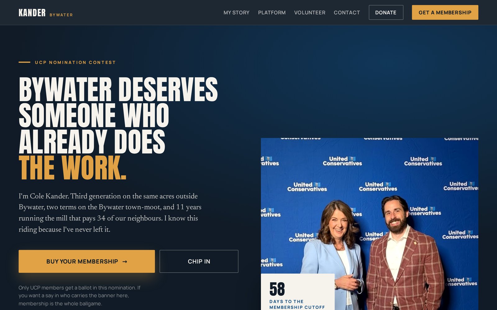 Screenshot of the high-end nomination campaign website sample